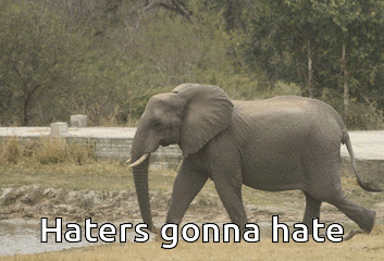 haters gif